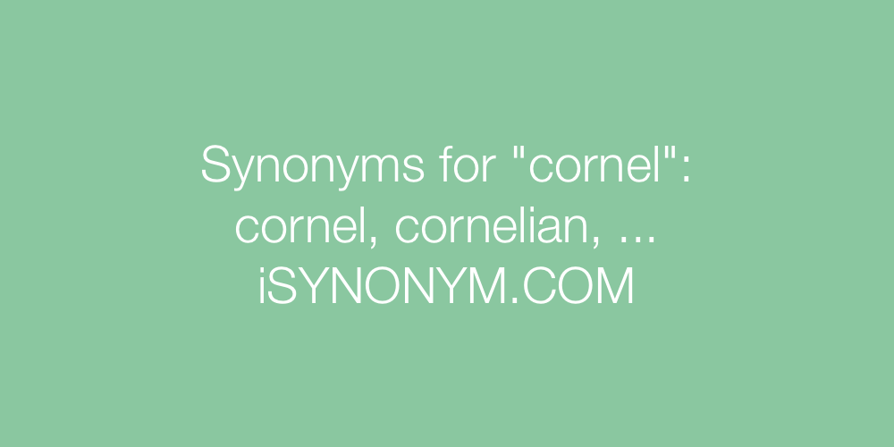 Synonyms cornel