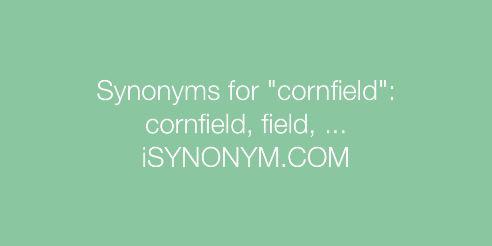 Synonyms cornfield
