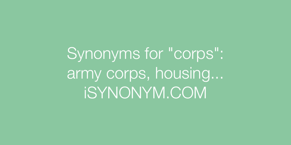 Synonyms corps