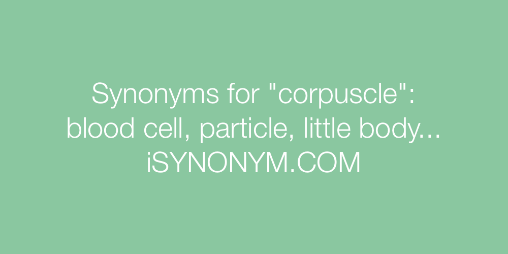 Synonyms corpuscle