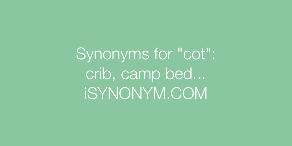 Synonyms cot