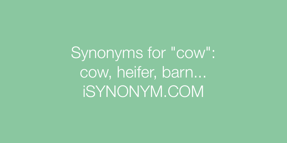 Synonyms cow