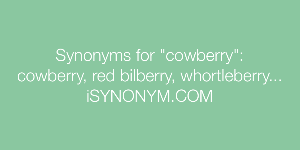 Synonyms cowberry