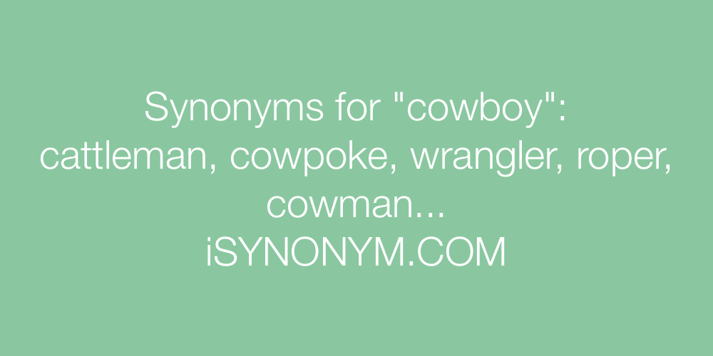 Synonyms cowboy