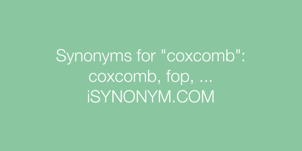 Synonyms coxcomb