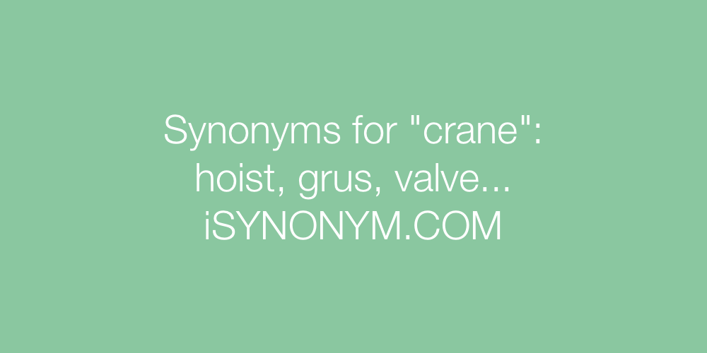 Synonyms crane