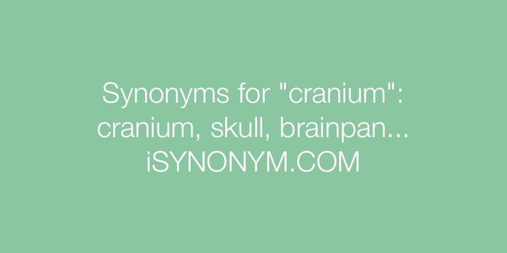 Synonyms cranium