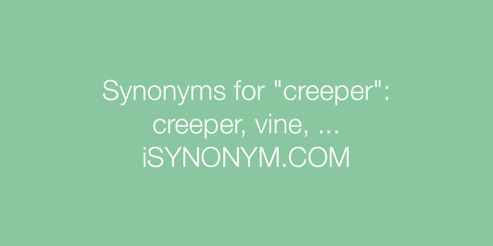 Synonyms creeper
