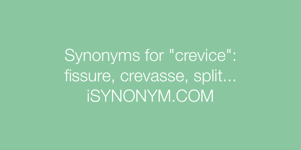 Synonyms crevice