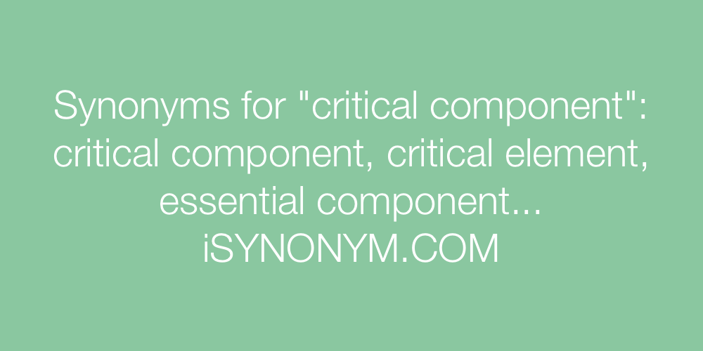 Synonyms critical component
