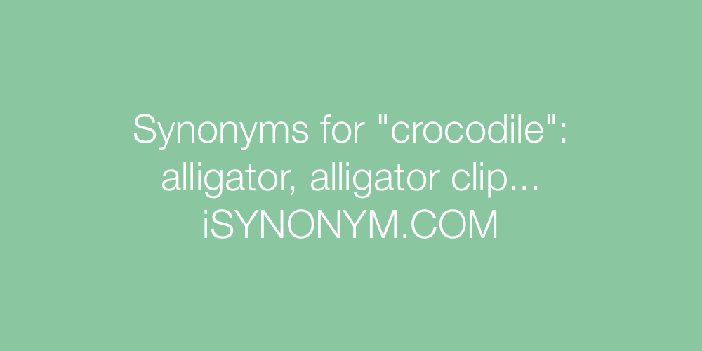 Synonyms crocodile