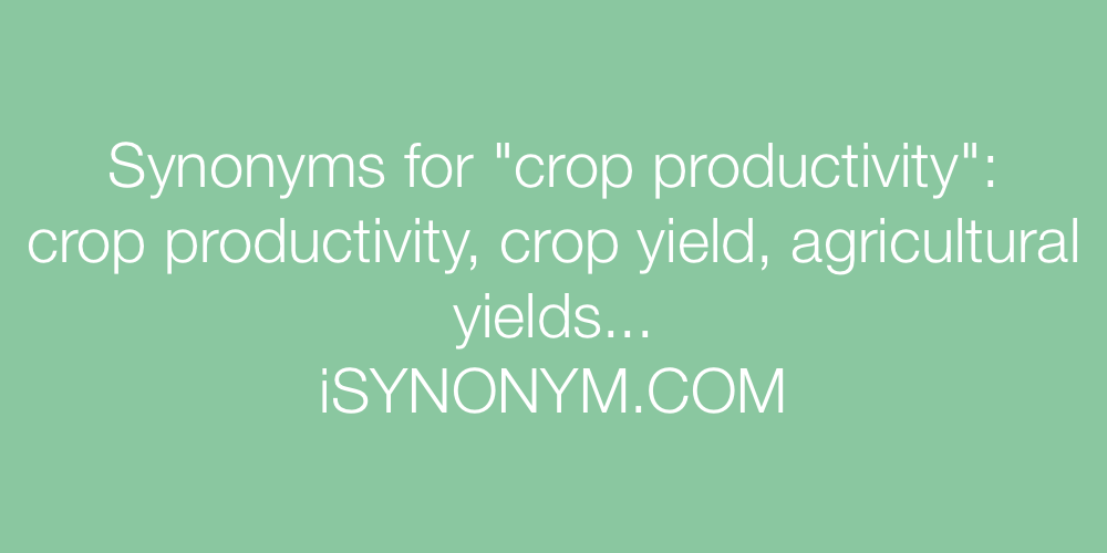 Synonyms crop productivity