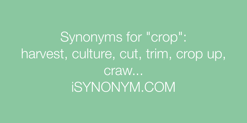 Synonyms crop