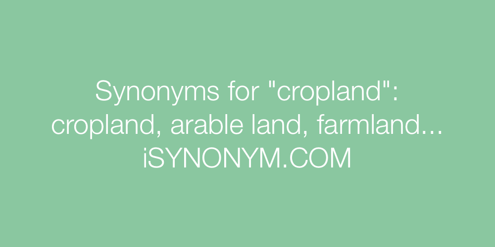 Synonyms cropland