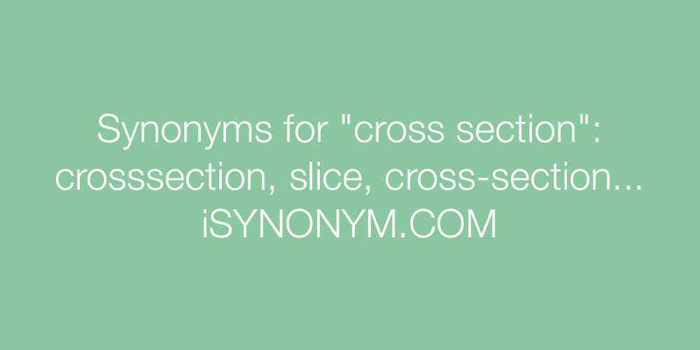 Synonyms cross section