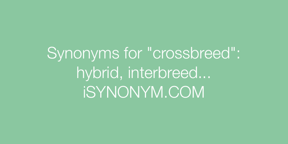 Synonyms crossbreed