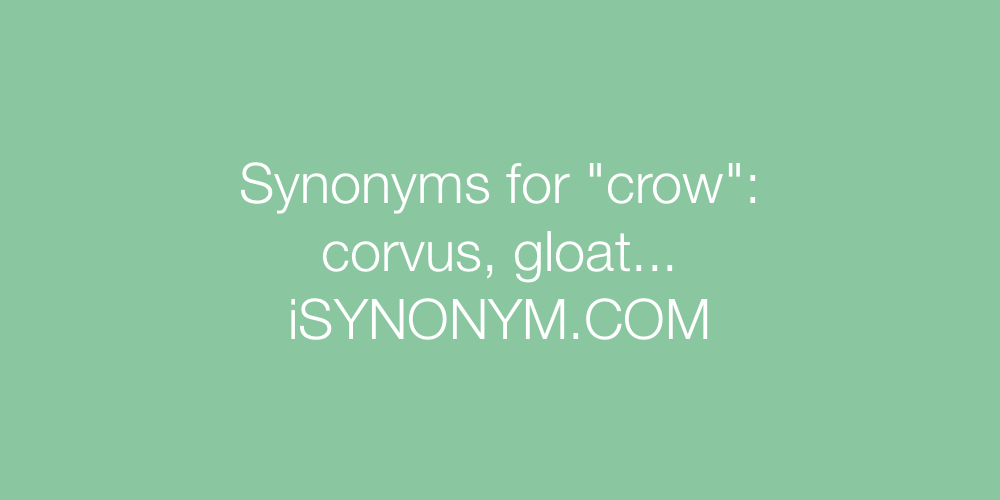 Synonyms crow