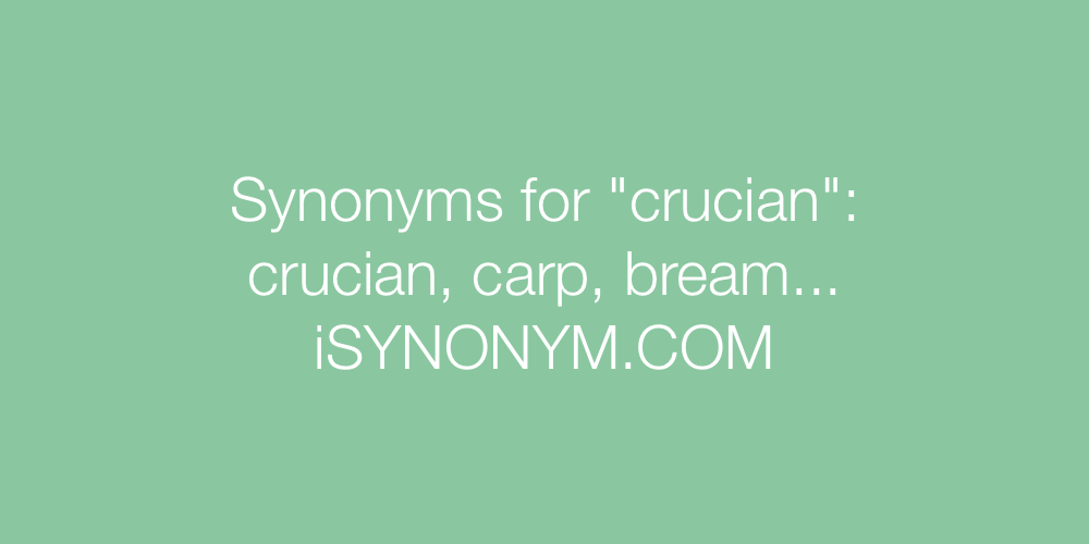 Synonyms crucian