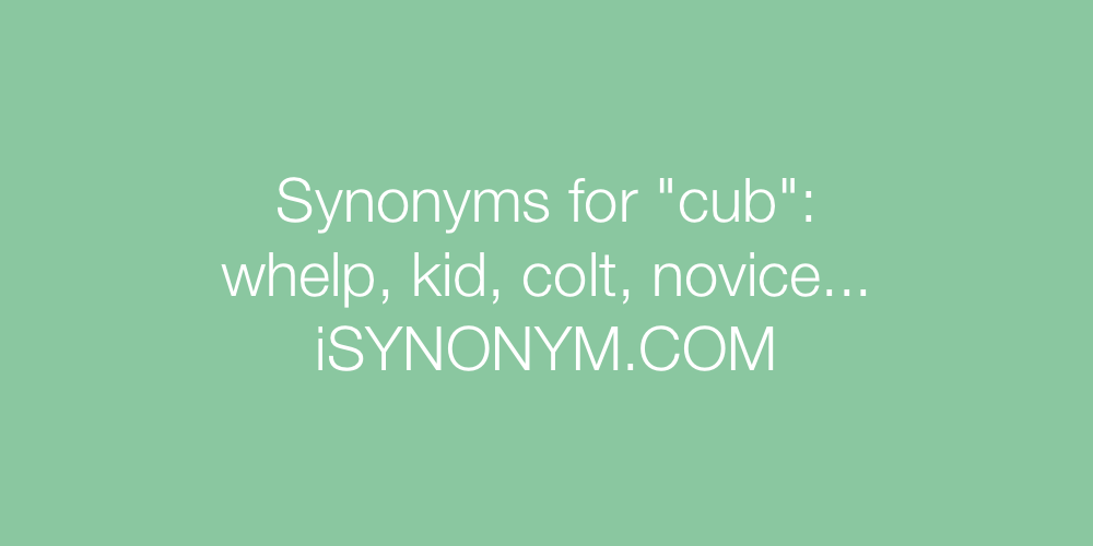 Synonyms cub
