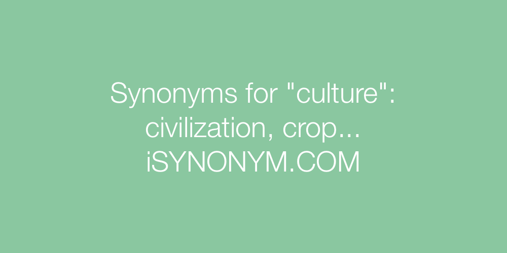 Synonyms culture