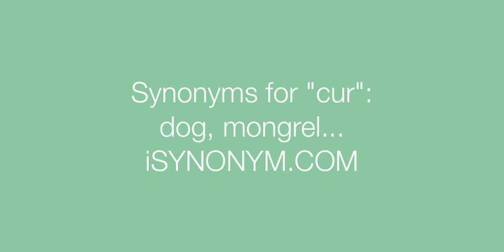 Synonyms cur