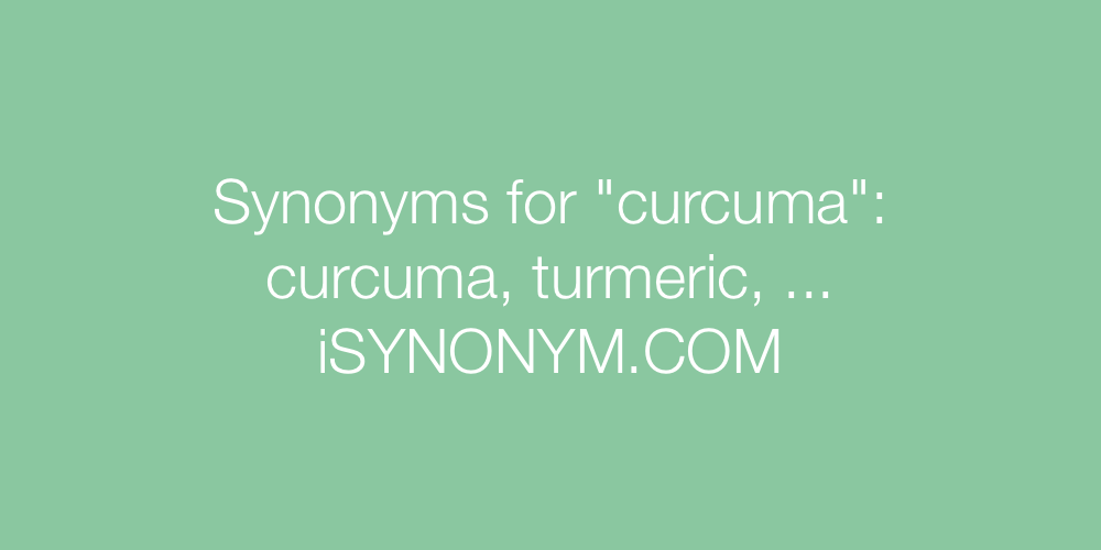 Synonyms curcuma