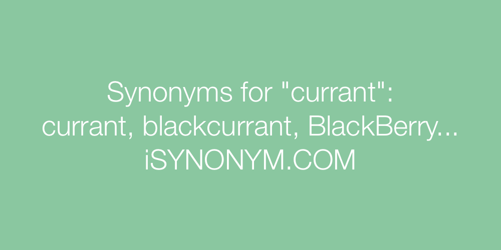 Synonyms currant