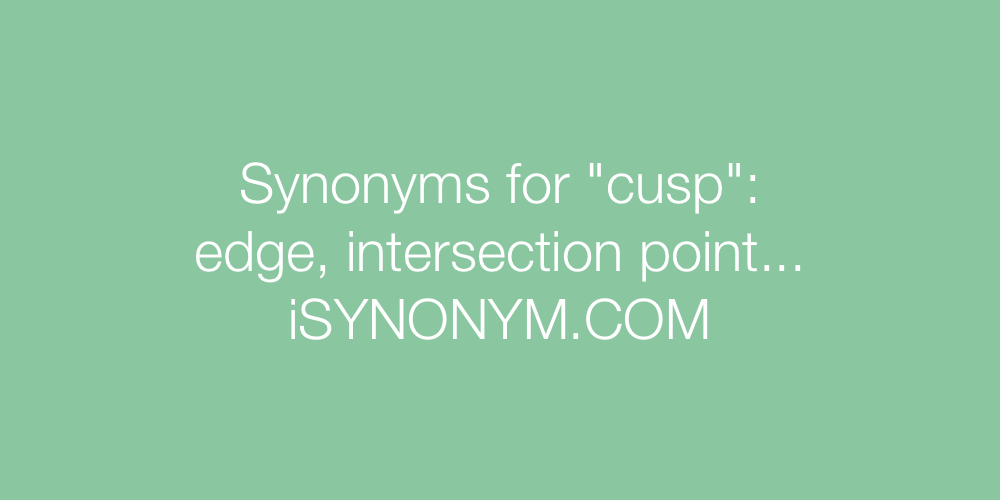 Synonyms cusp