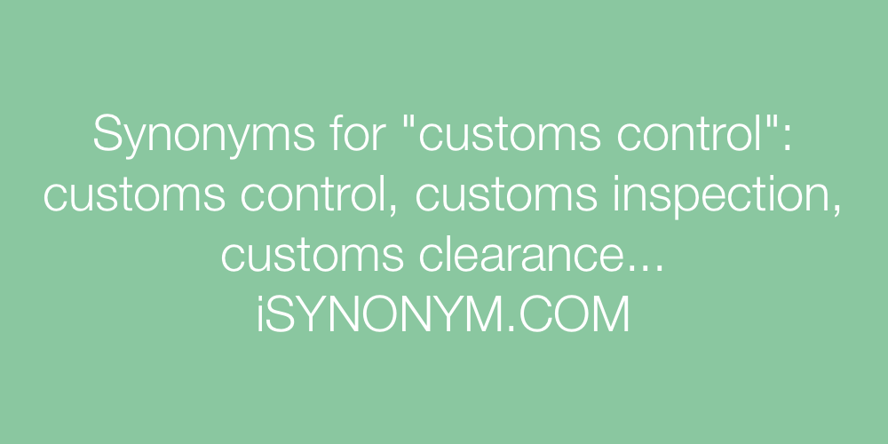 Synonyms customs control