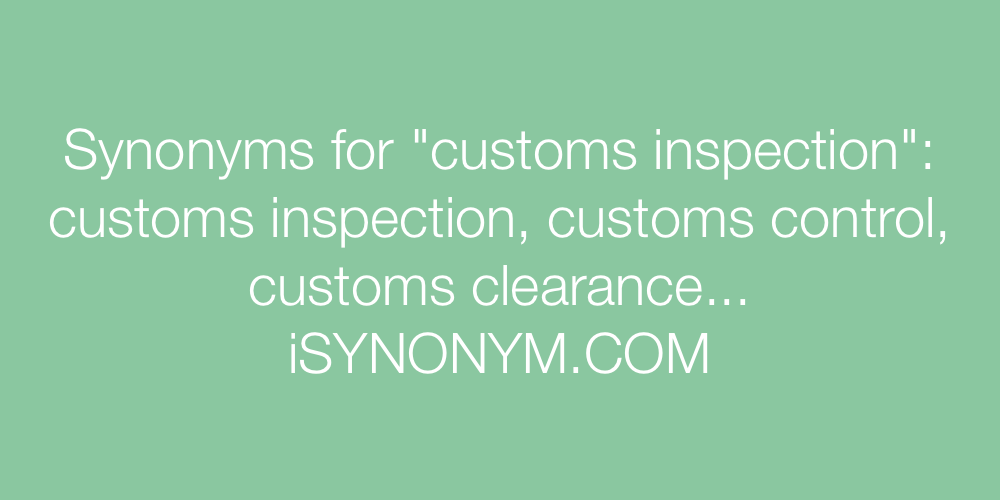 Synonyms customs inspection