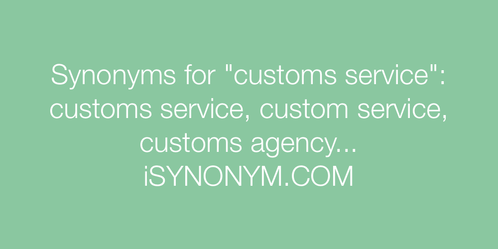 Synonyms customs service