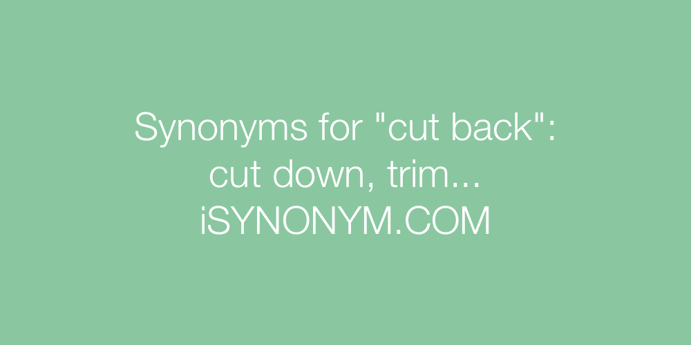 Synonyms cut back