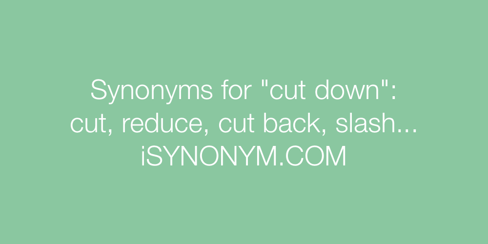 Synonyms cut down