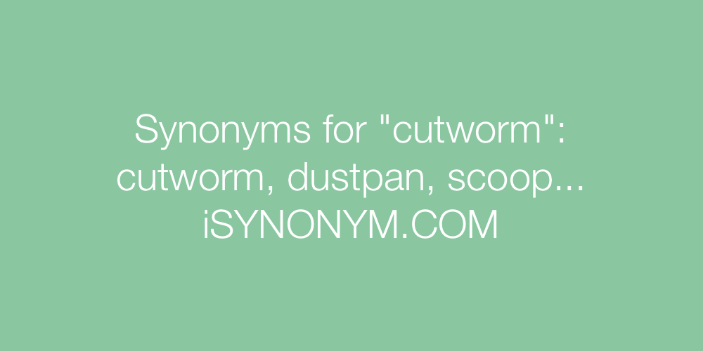 Synonyms cutworm