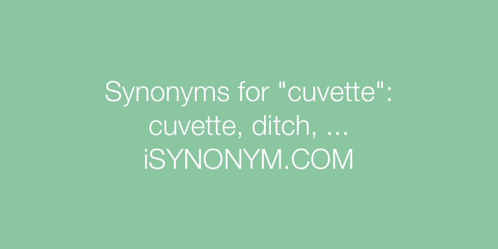Synonyms cuvette