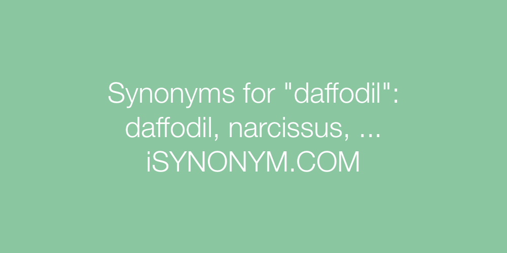 Synonyms daffodil