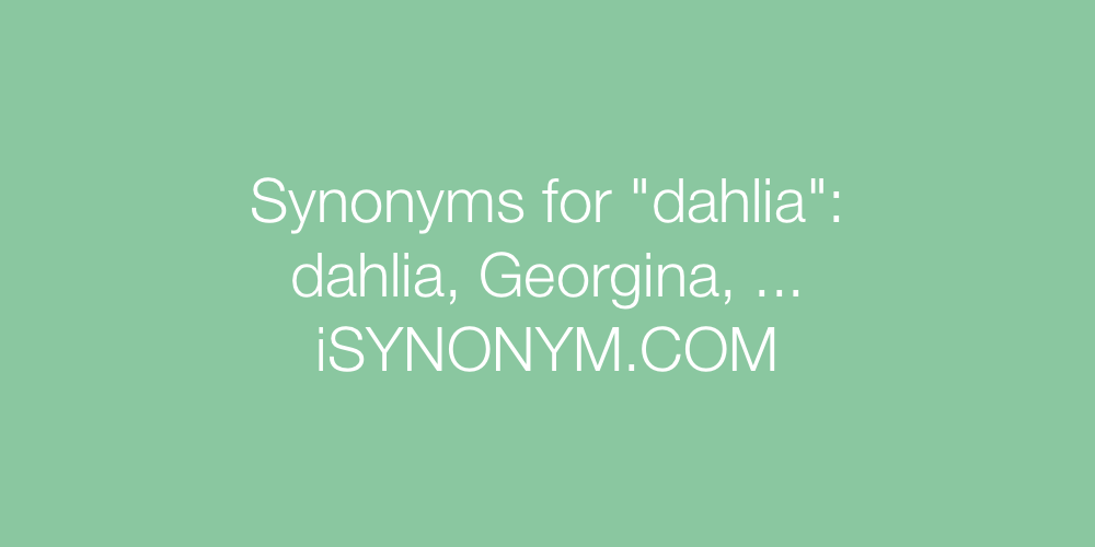 Synonyms dahlia