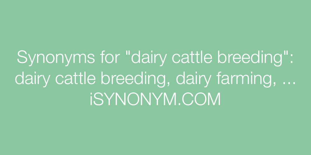 Synonyms dairy cattle breeding