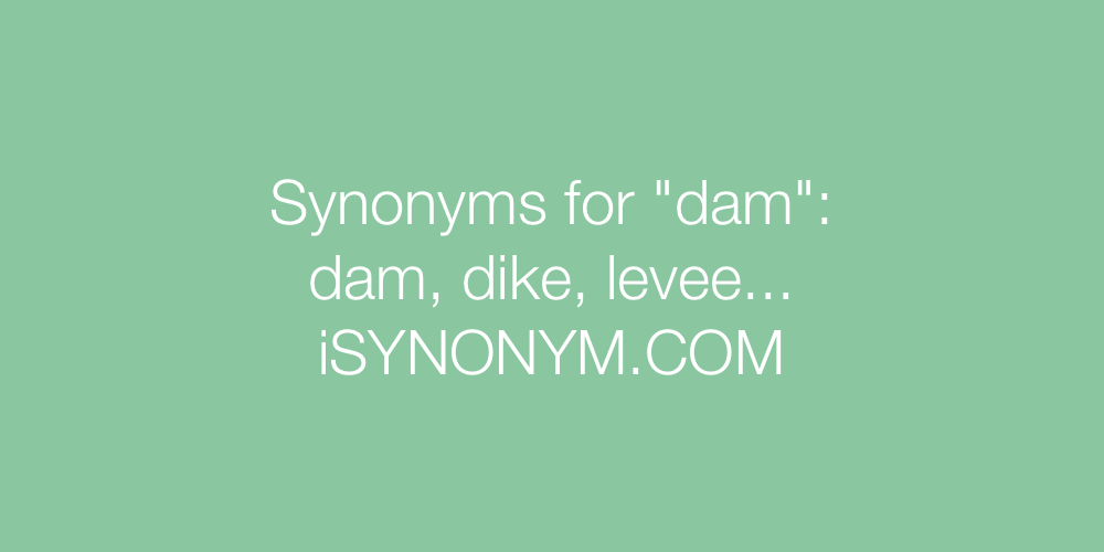 Synonyms dam