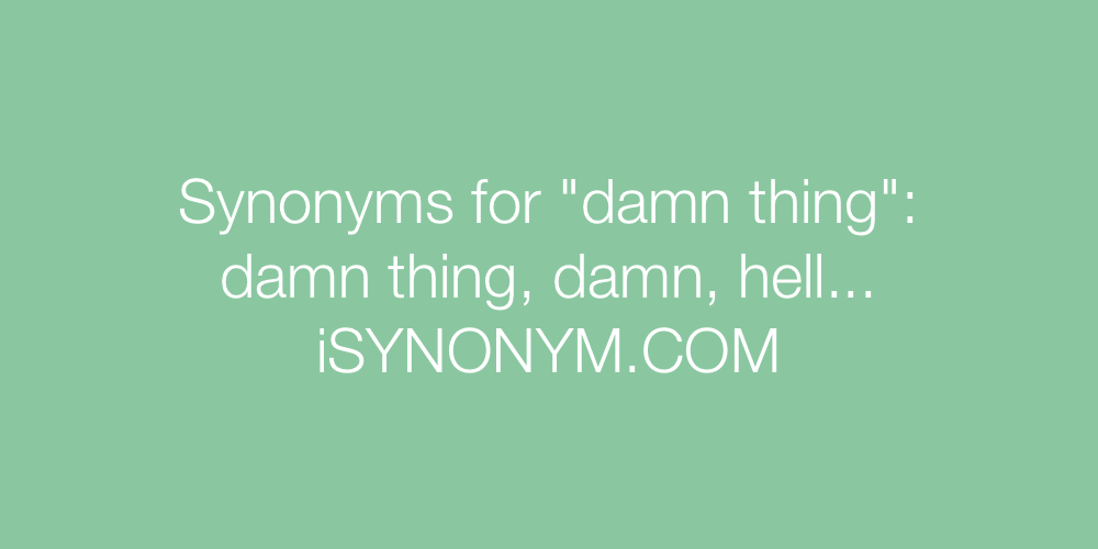 Synonyms damn thing