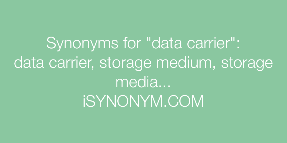 Synonyms data carrier