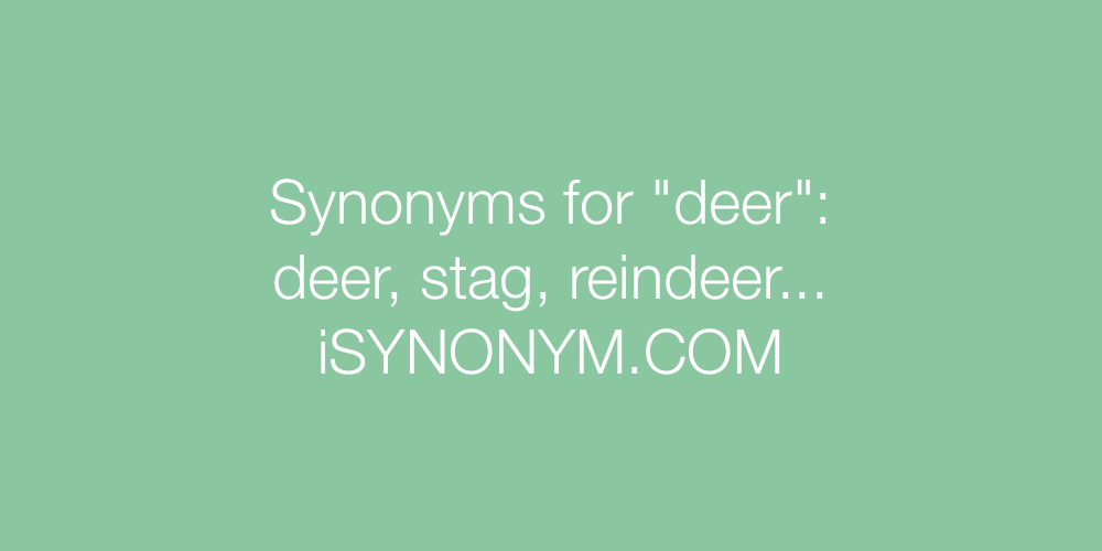 Synonyms deer