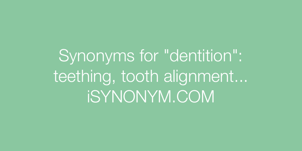Synonyms dentition