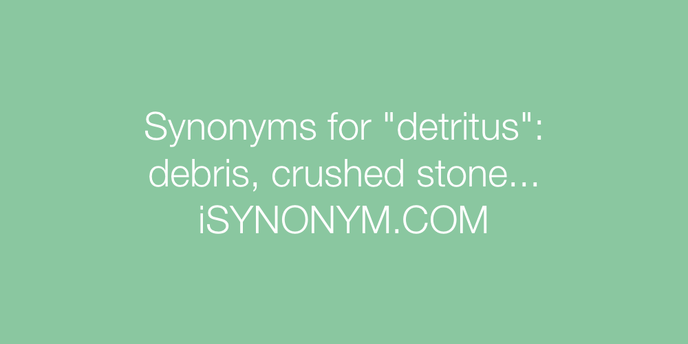 Synonyms detritus