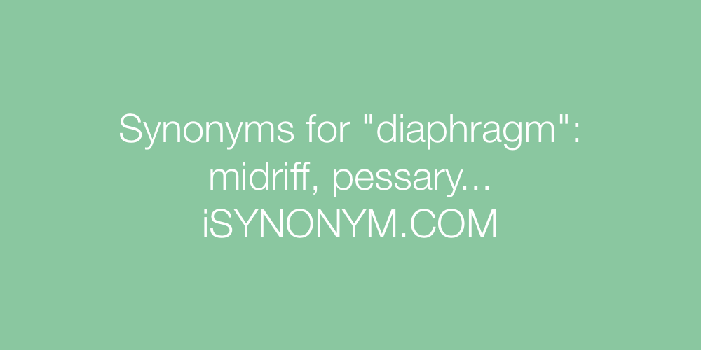 Synonyms diaphragm