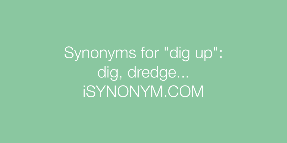 Synonyms dig up