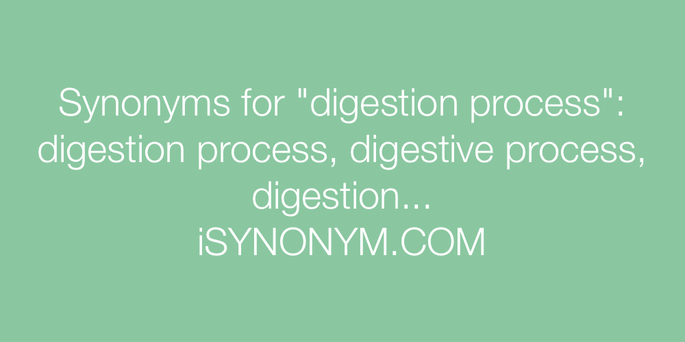 Synonyms digestion process