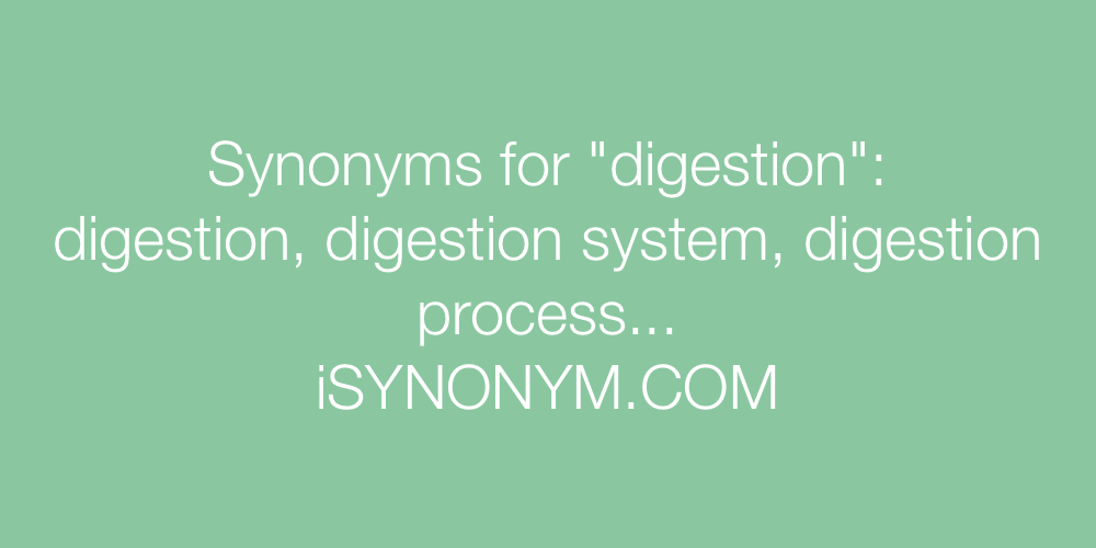 Synonyms digestion