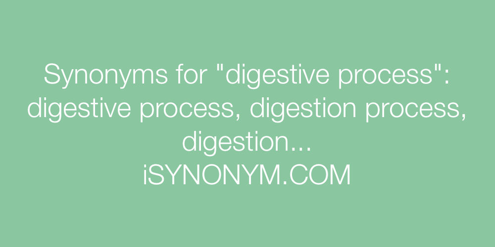Synonyms digestive process