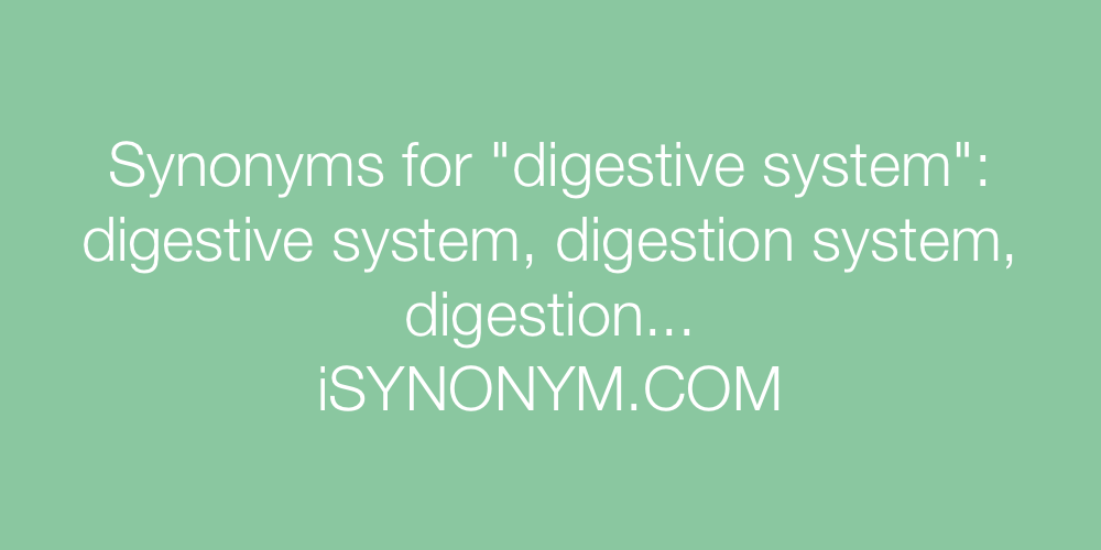 Synonyms digestive system